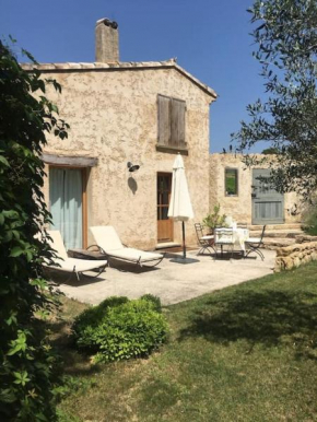 Dreamy guesthouse amidst a marvellous property